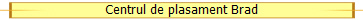 Centrul de plasament Brad
